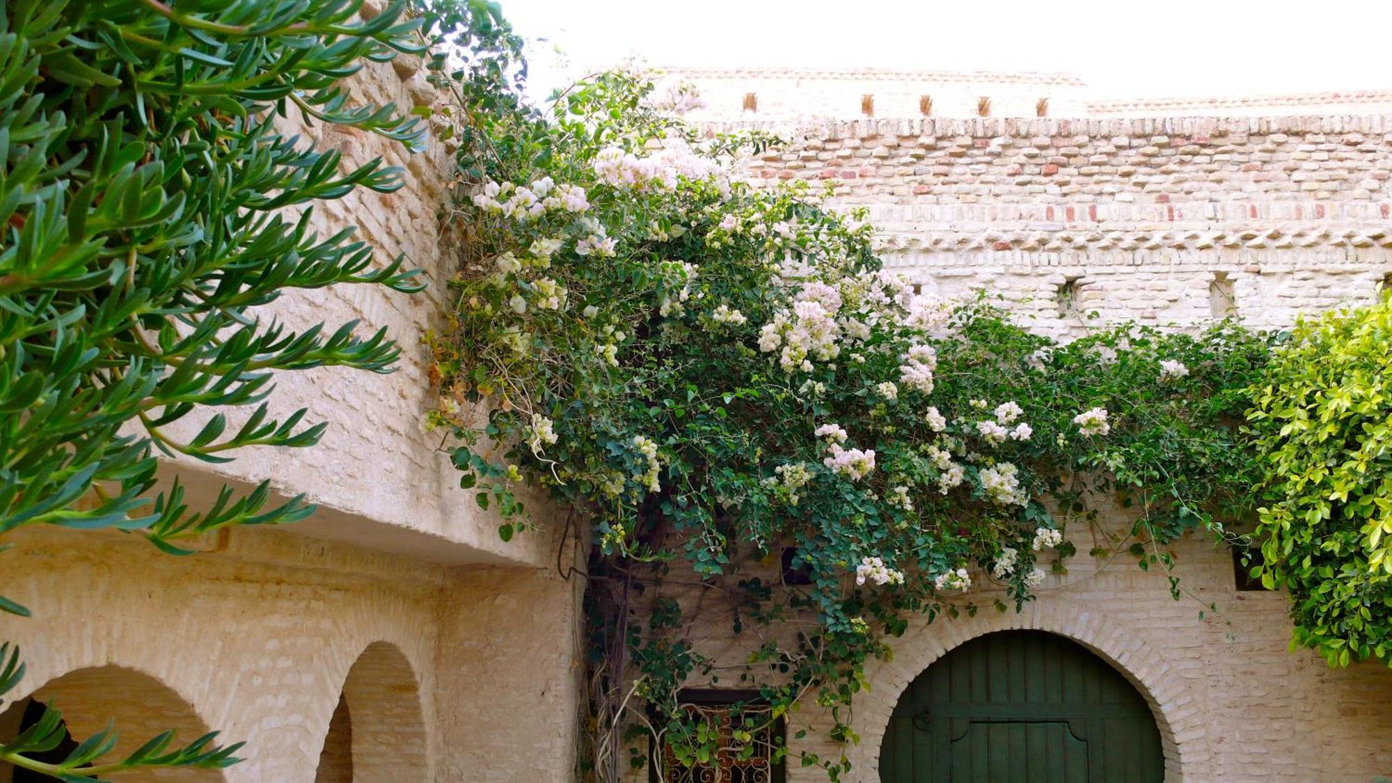 Bed and Breakfast Dar Nejma Tozeur Zimmer foto